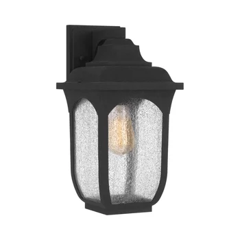 Brielle 1-Light, черный в крапинку, Уличный Настенный фонарь, Лампы RGB-освещения для 