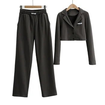 Комплекты из двух предметов, короткий пиджак с воротником-стойкой и повседневные широкие брюки с высокой талией, Весенний новый женский повседневный однотонный комплект 2